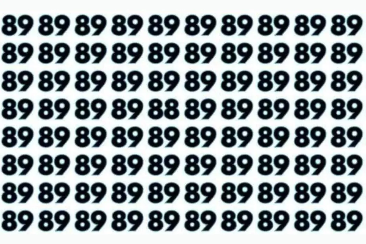 can you spot 88 hidden in 89s in 8 seconds 2