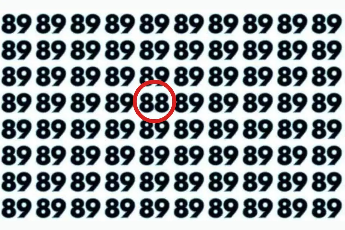 can you spot 88 hidden in 89s in 8 seconds 3