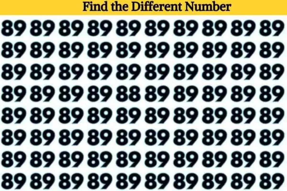 can you spot 88 hidden in 89s in 8 seconds