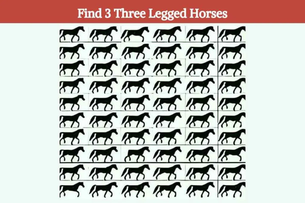 find 3 legged horses img 1