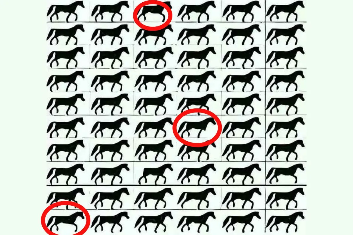 find 3 legged horses img 3