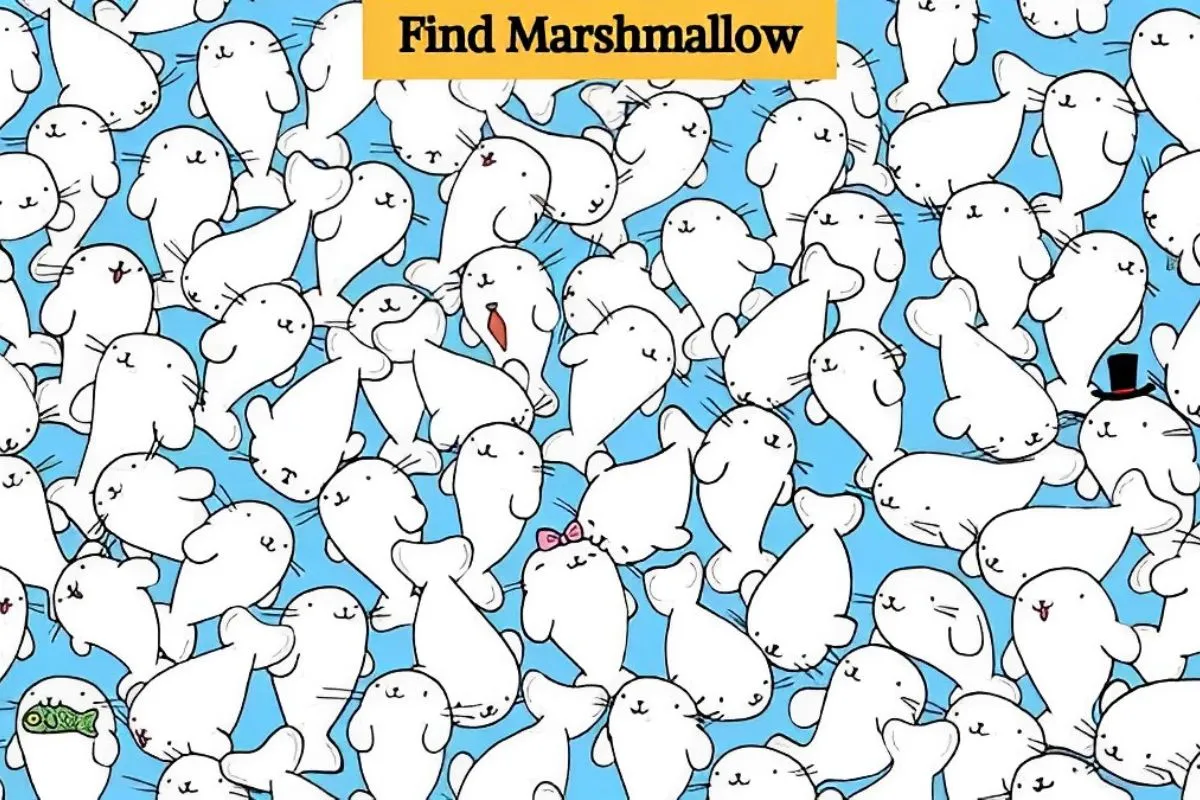 find masmellow in just 9 seconds