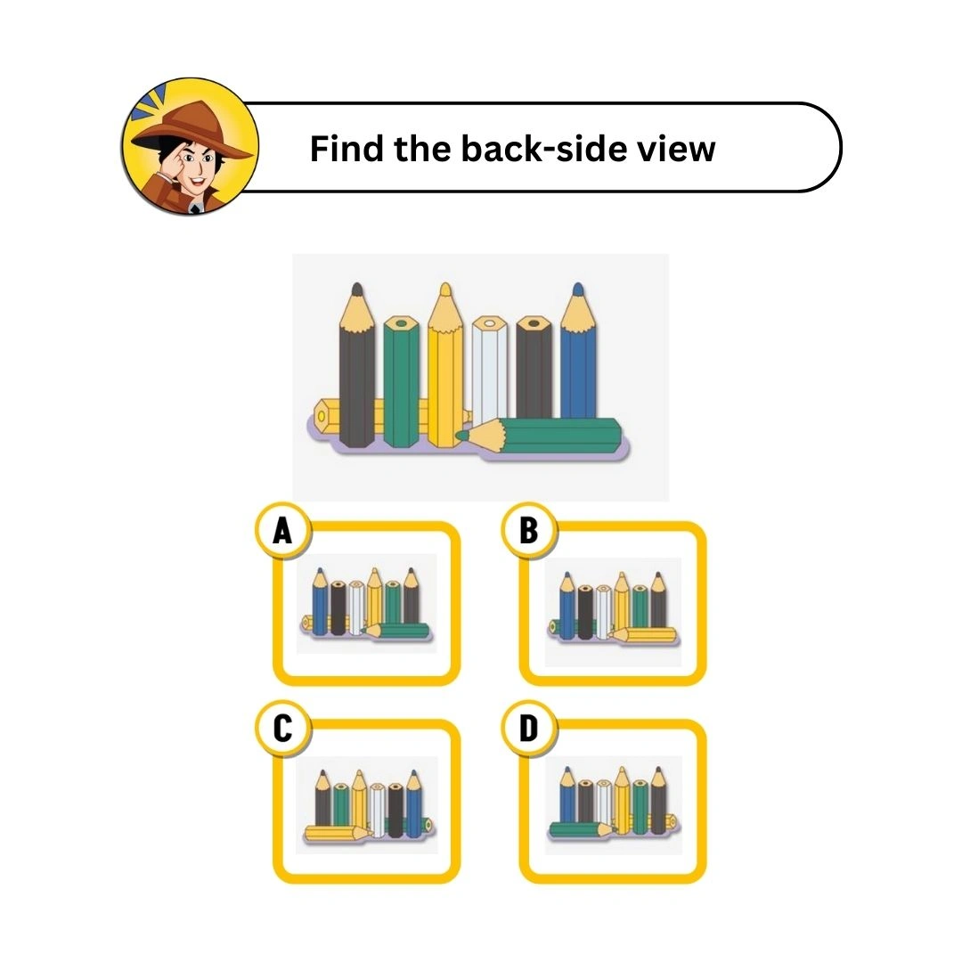 find the back side view pencil puzzle