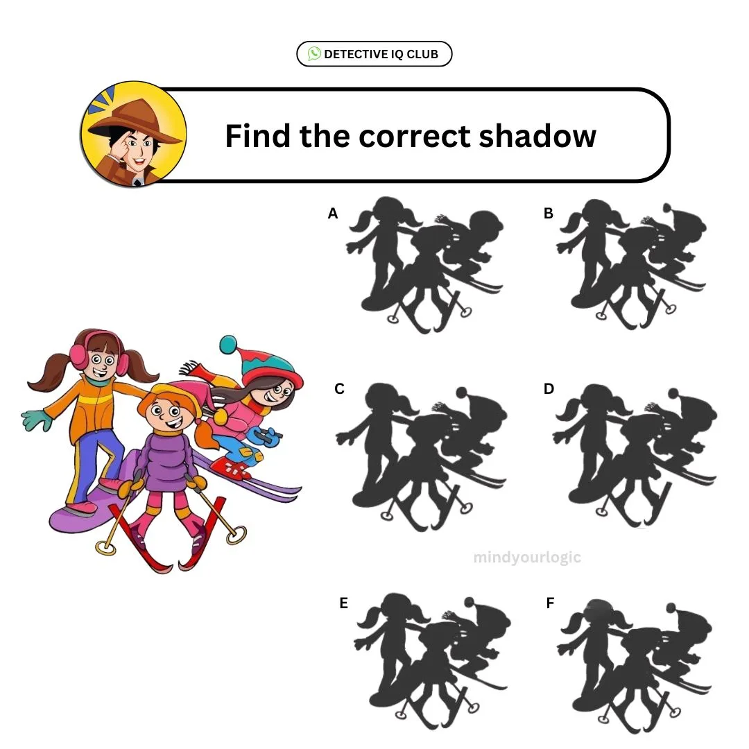 find the correct shadow skatting friend