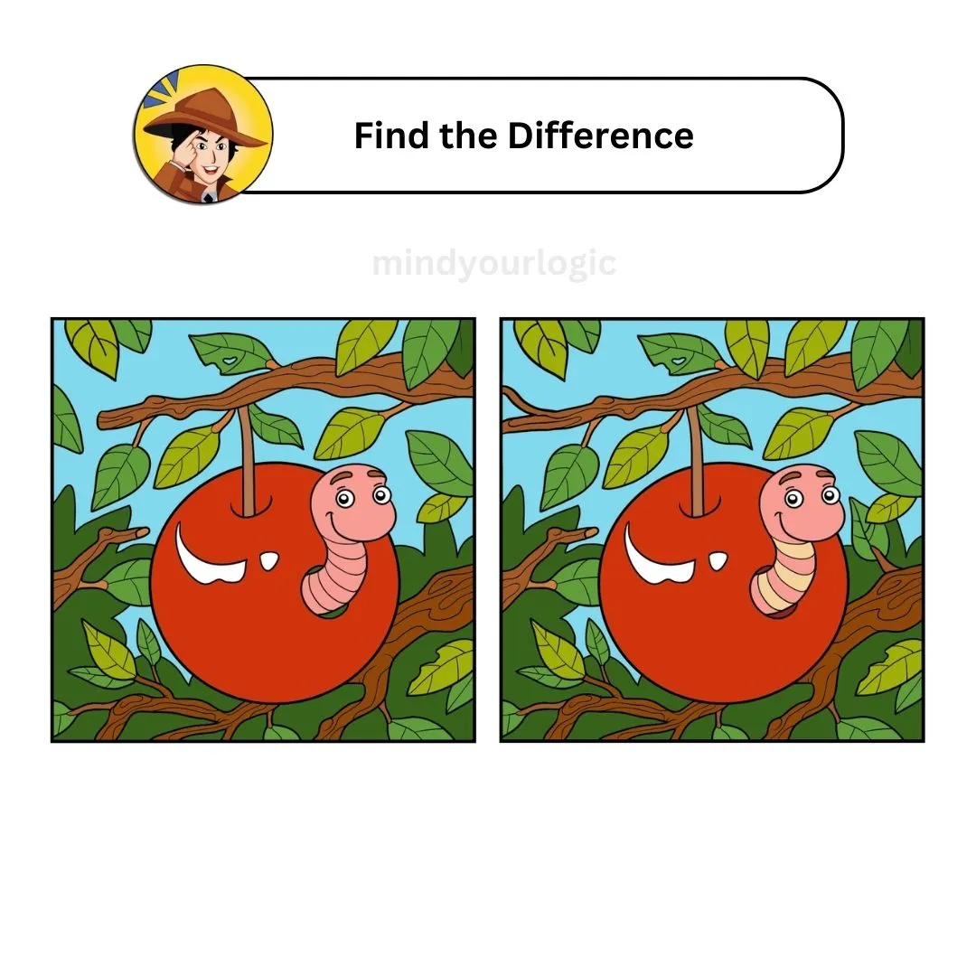 find the difference snail