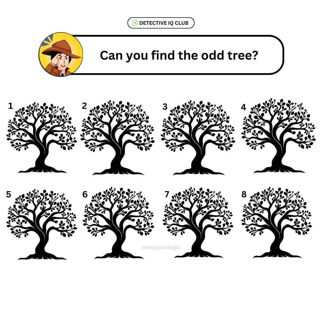 find the different tree