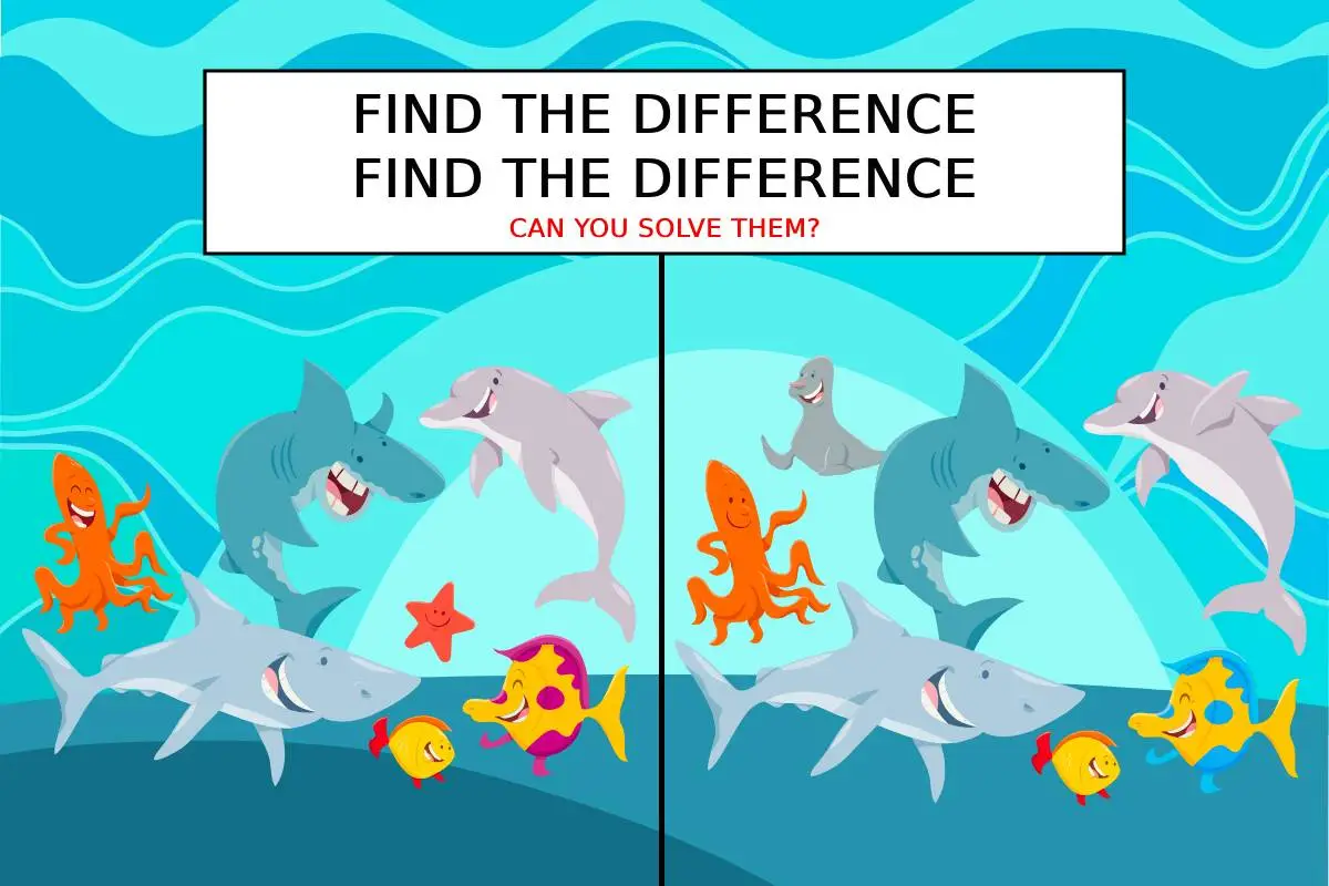 find the differnce find the difference