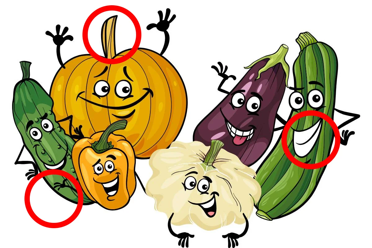 find the differnce vegetables answer