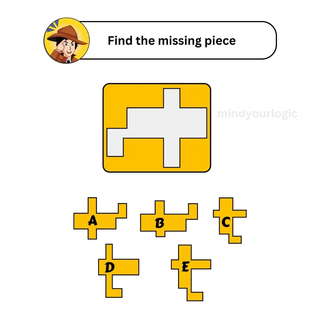 find the missing piece puzzle