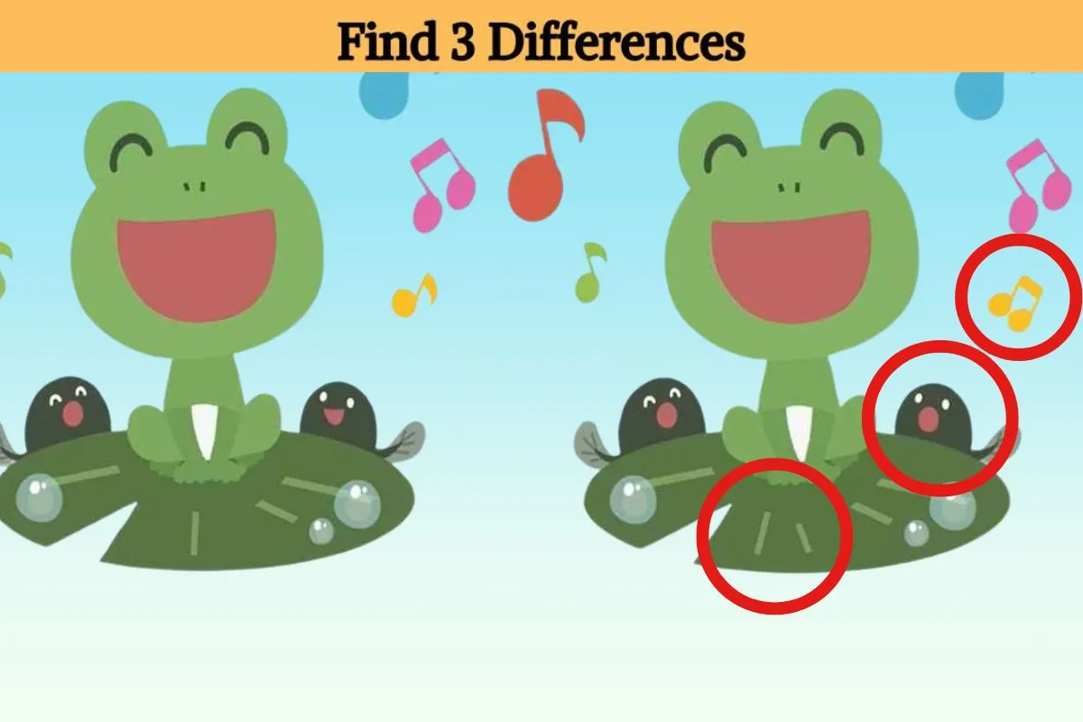 find three differences in frog img 3