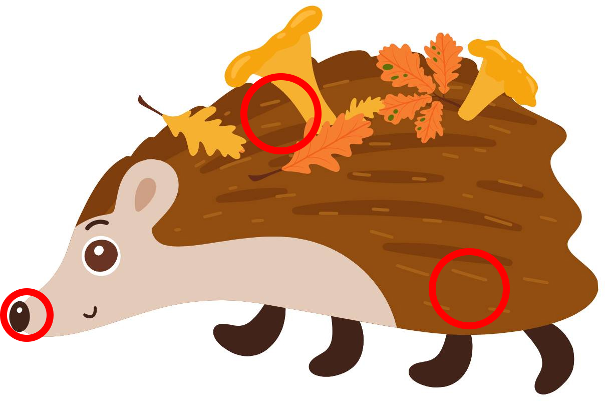 hedgehog cartoon image answer