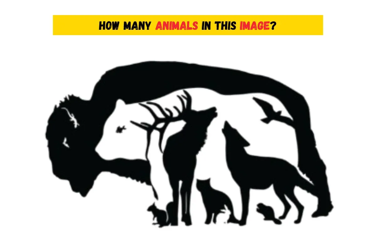 how many animals in this image 1