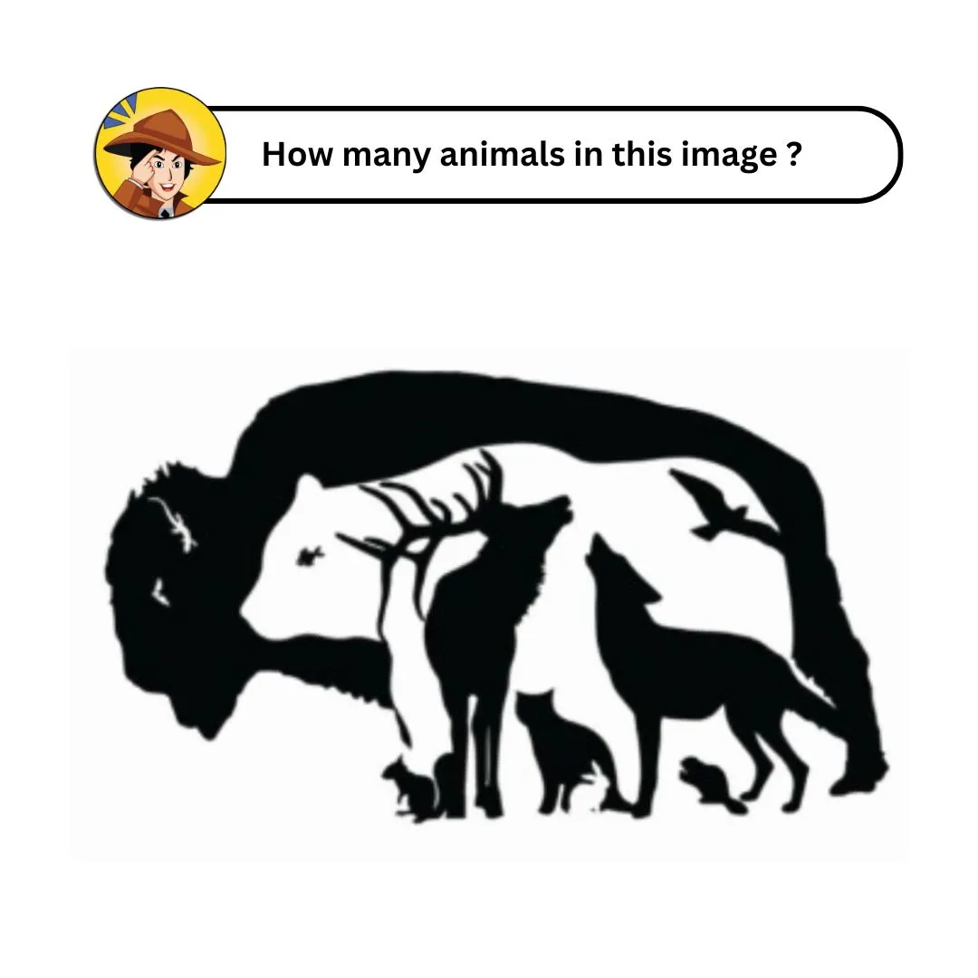 how many animals in ths image