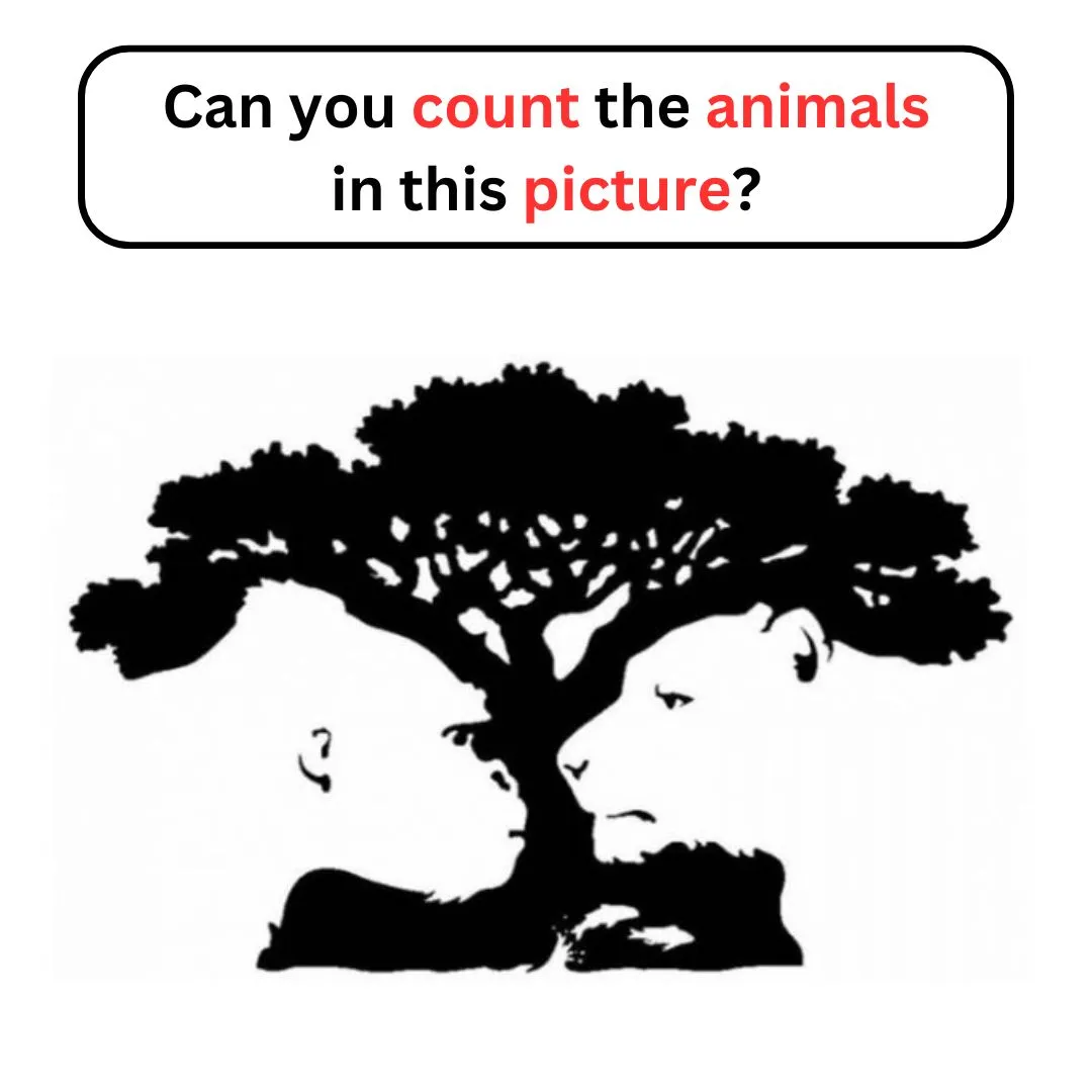 how many animals