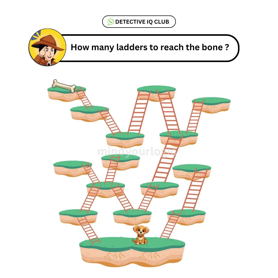 how many ladders