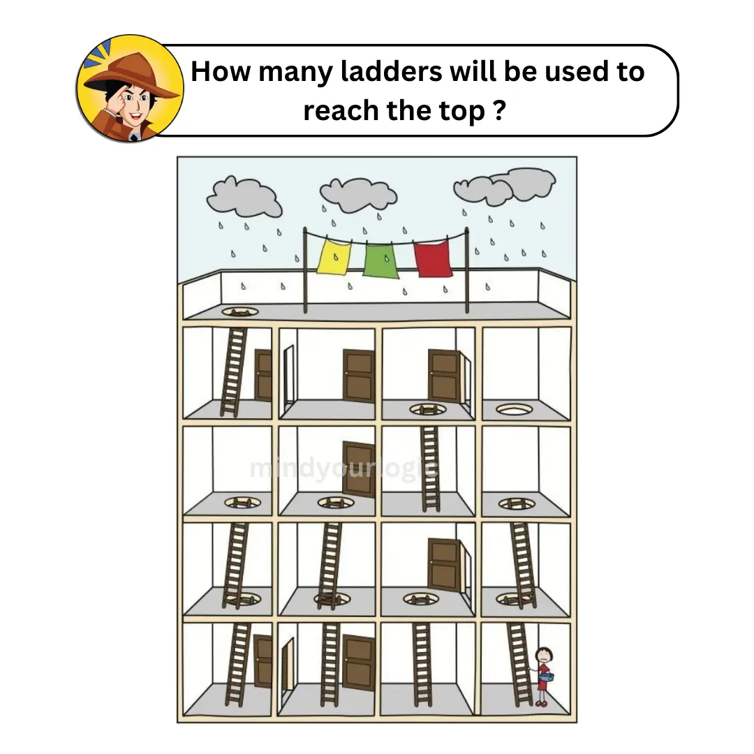 ladder puzzle