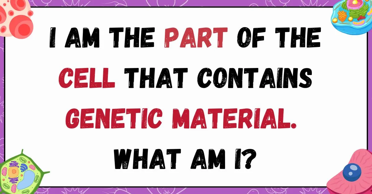 daily riddles : scientific riddles to test your scientific mind