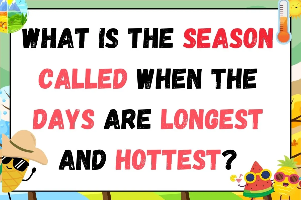 summer riddles to brighten up your day