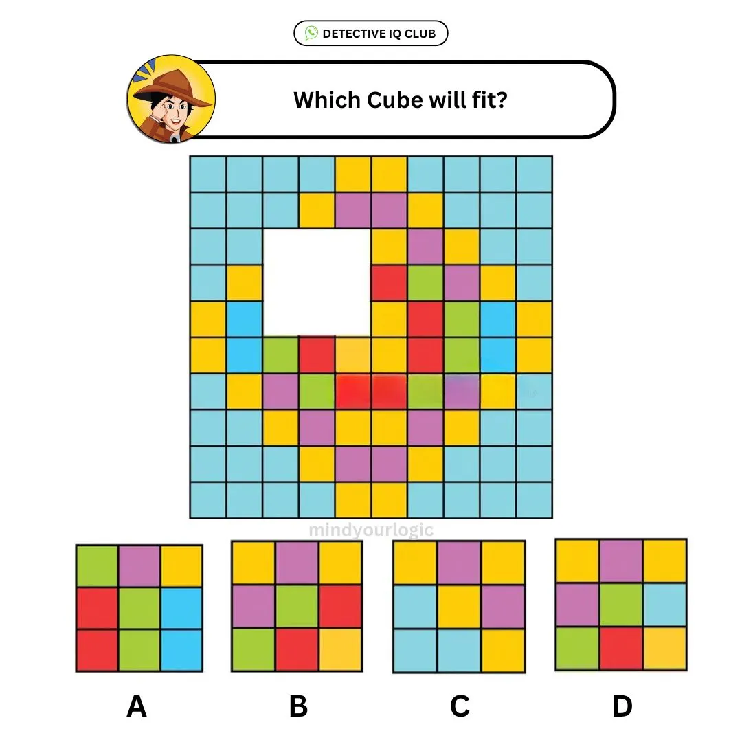 which cbe fit multicolor box