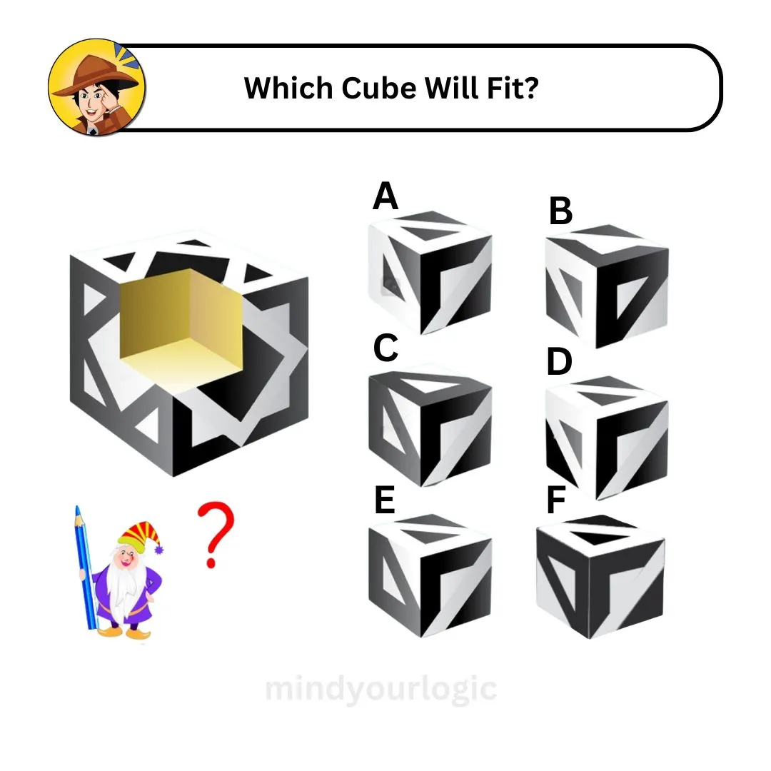 which-cube-fit