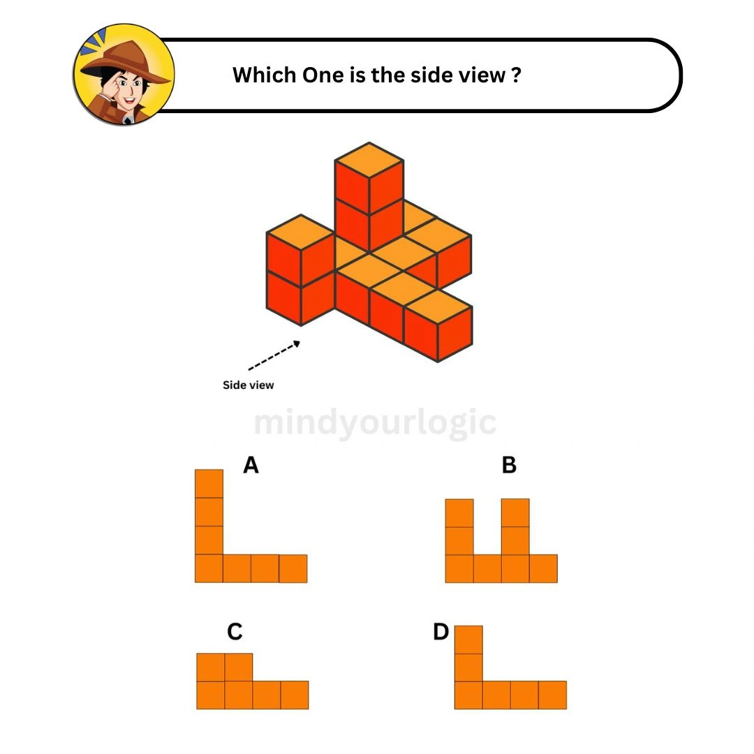 which-one-is-the-side-view