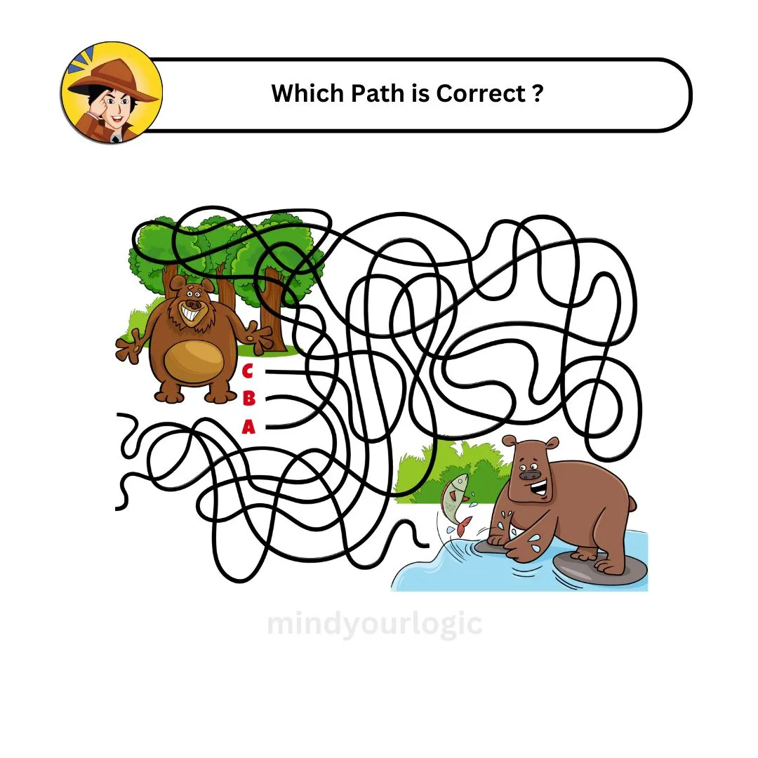 which path is correct