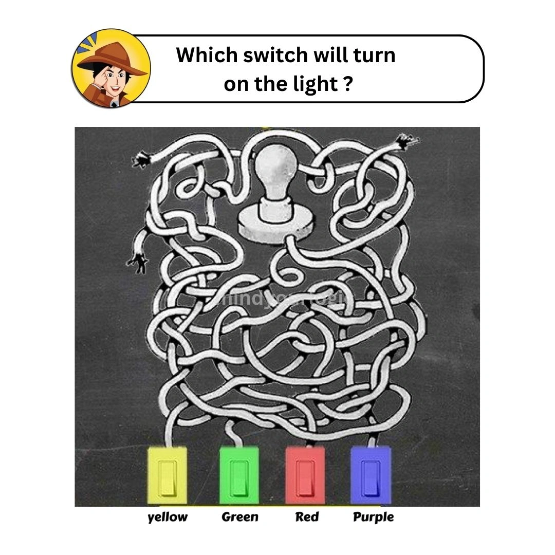 which switch will turn on liht