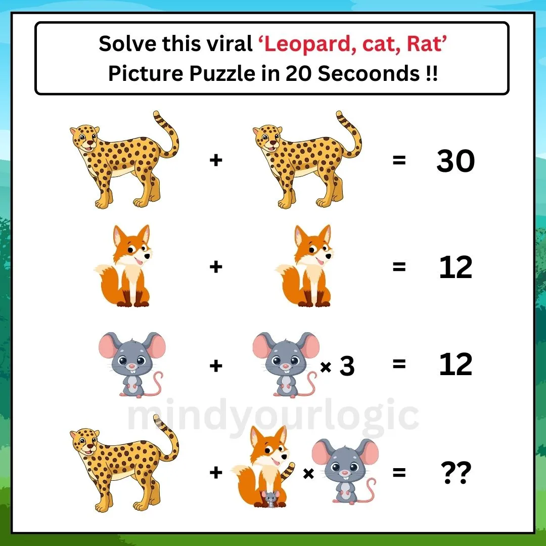 equation-leapard-cat-rat