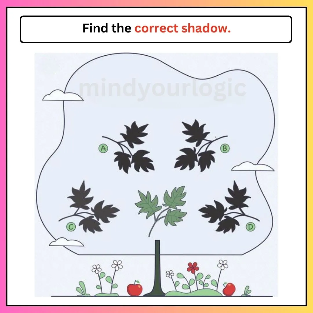 find the correct shadow leaves