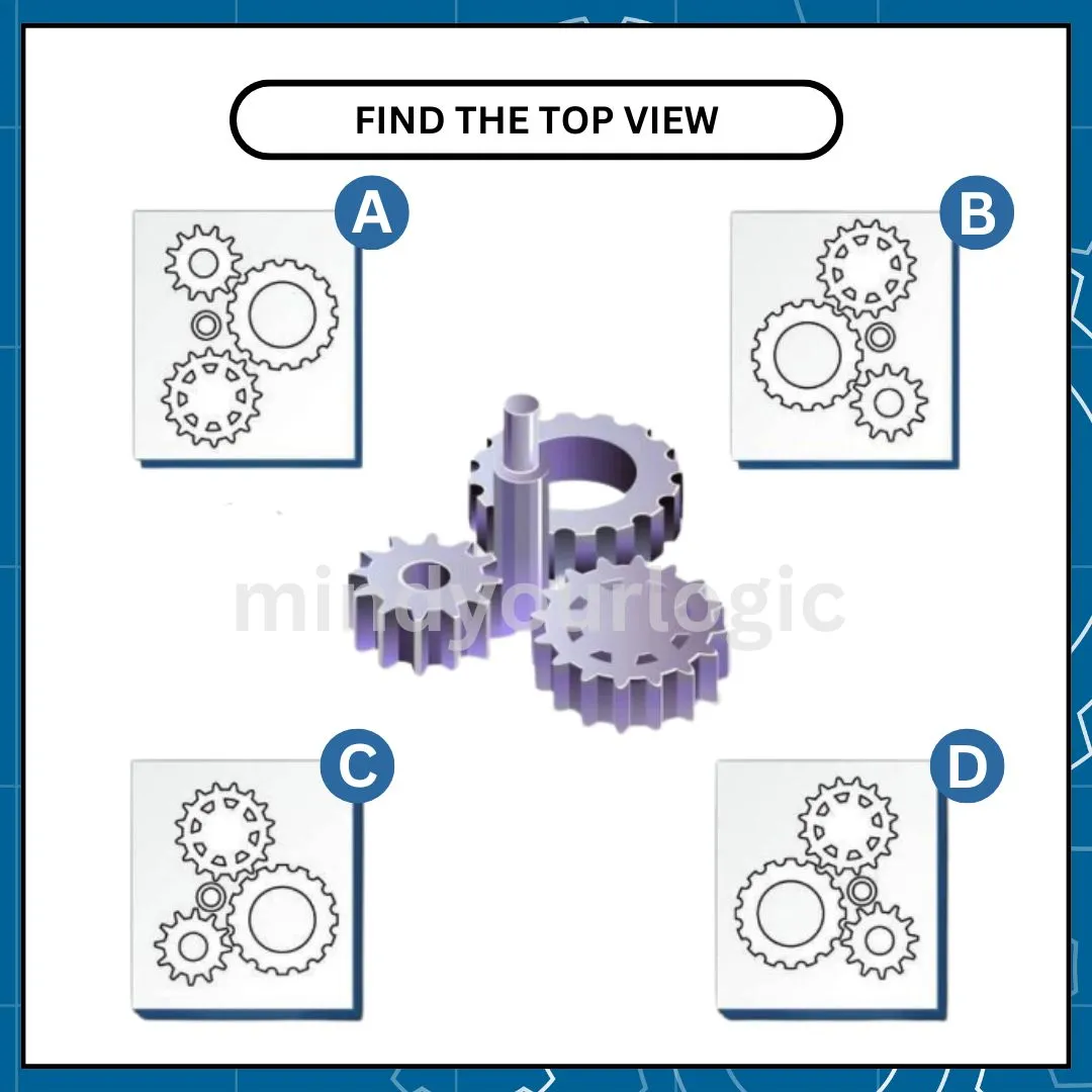 gear-top-view-puzzle